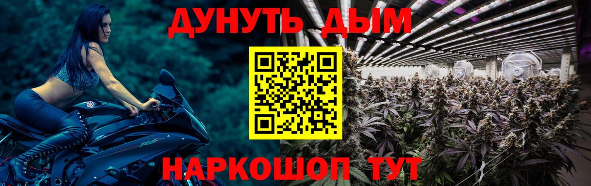 МАРИХУАНА THC 21%  МАРИХУАНА LSD WEED  Вход с VPN  Конопля Bruce Banner  Бошки марихуана SATIVA & INDICA  Бердск 